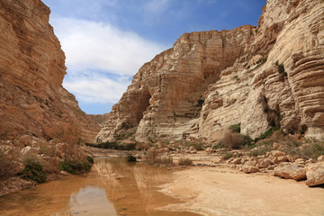 Canyon in stony desert