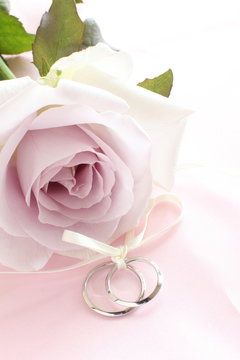 close up of purple rose and pair rings  for wedding image