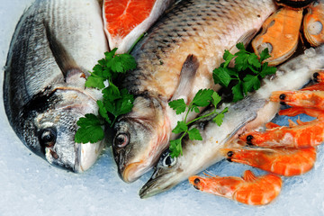 Fresh seafood on ice