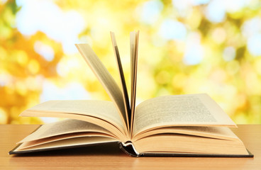 Opened book on bright background