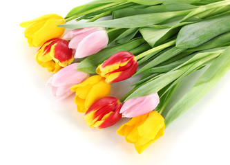 Obraz premium Beautiful tulips in bucket isolated on white