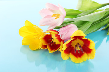 Obraz na płótnie Canvas Beautiful tulips in bucket on blue background
