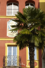 Fototapeta na wymiar Brissago (Lago Maggiore) - Palms