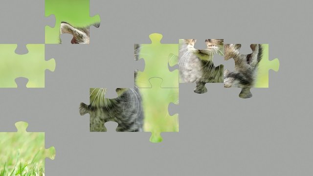 Katzenouzzle