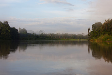 Kinabatangan River, Sabah. Borneo