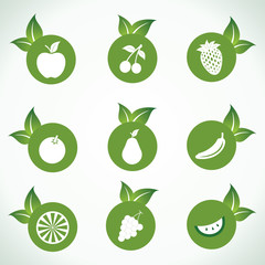 Different  fruit icons and design with green leaf