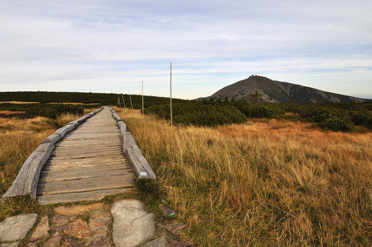 Hill Snezka
