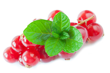 Redcurrant with mint II