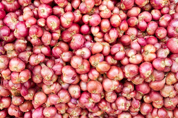 Shallot onions background