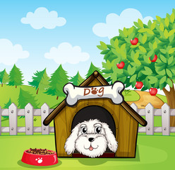 A puppy inside a doghouse near an apple tree