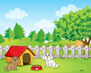A doghouse inside the wooden fence near the hill
