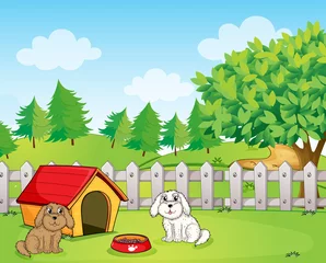 Foto op Plexiglas Honden Een hondenhok binnen het houten hek bij de heuvel