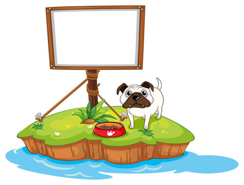 An empty board with a dog in an island
