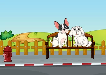 Abwaschbare Fototapete Hunden Tiere sitzen auf der Bank