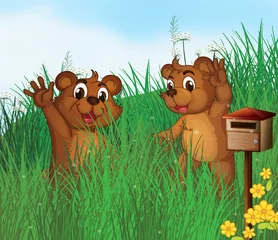 Abwaschbare Fototapete Bären Zwei junge Bären in der Nähe eines hölzernen Briefkastens
