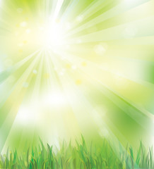 Obraz premium Vector of sky background with grass for spring design