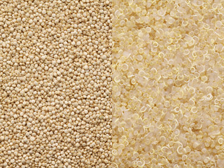 cooked quinoa and uncooked quinoa