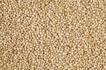 uncooked quinoa