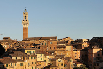 Obraz premium View of the city of Siena in Italy