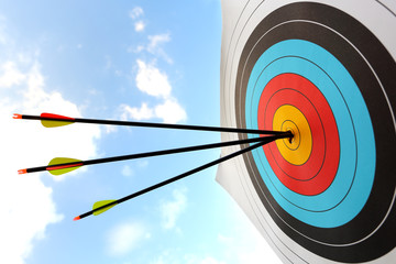 Arrow hit goal ring in archery target - obrazy, fototapety, plakaty