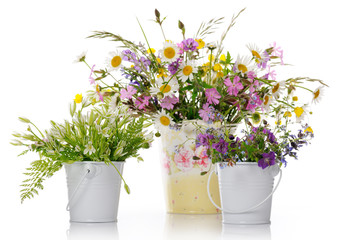 beautiful flowers