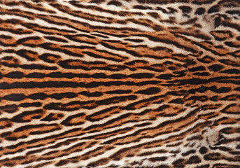 fur coat of ocelot background