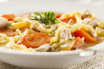 Homemade Organic Chicken Noodle Soup