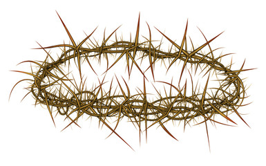 Crown of Thorns