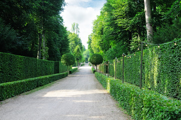 Beautiful alley in the park