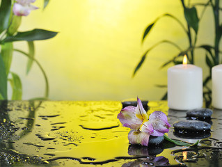  spa still life