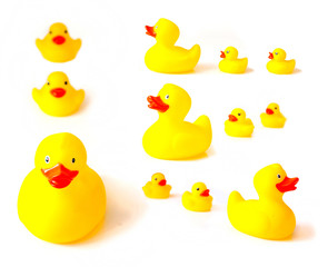 rubber ducks