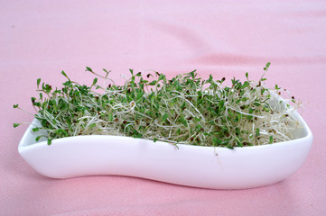 Fresh alfalfa sprouts