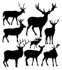 Obraz premium deer vector silhouettes