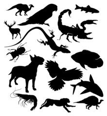 vector animals