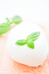 Italian buffalo mozzarella