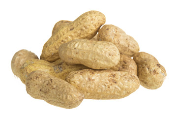 close up of peanut