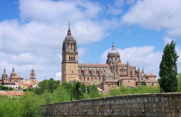Fototapeta na wymiar Salamanca Kathedrale 02