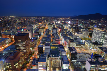 Fototapeta premium Downtown Sapporo Cityscape