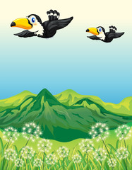 Deux oiseaux volant le long des montagnes