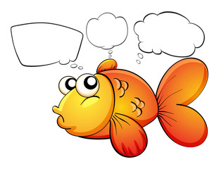 A gold fish and the empty callouts