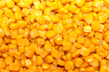 background of grains of maize