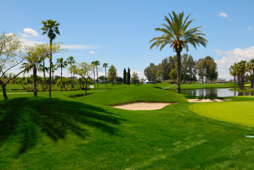 Landscape golf