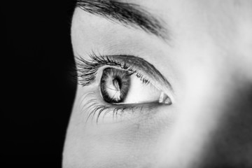 Close-up portrait of a beautiful female eye 