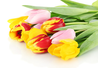 Obraz premium Beautiful tulips in bucket isolated on white