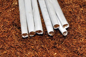 Hand Rolling Tobacco