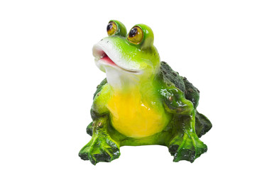 frog on the white background