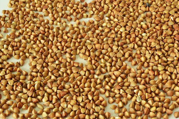 background of buckwheat grains