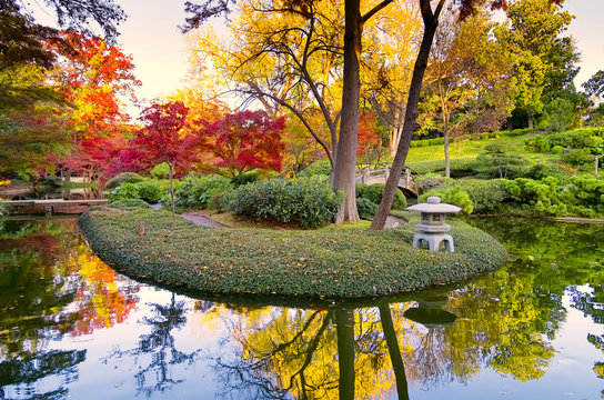 Fall Foliage In Texas