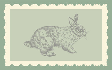 Vintage hand drawing rabbit vector eps 8
