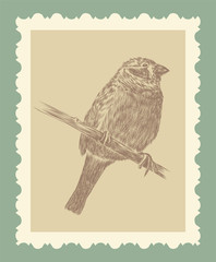 Hand drawing bird sketch vector eps 8